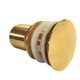 Válvula Ralo Click Inteligente Dourado Gold 1.1/4 Flvx